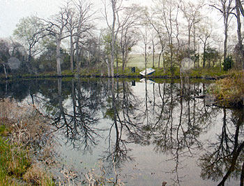 Tree covered dam. Not good. Routine maintenance should have prevented this.