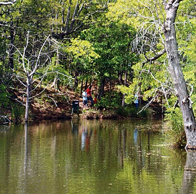 It's not hard to set up a pond to catch fish, if that s part of keeping your pond s status quo.