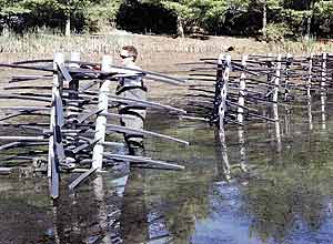 These structures were placed to attract game fish in an otherwise open area of this lake.