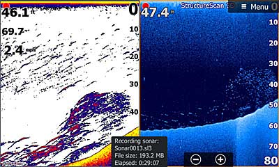 A view of baitfish on 2D Sonar and DownScan.