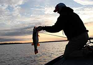 Bass Fishing