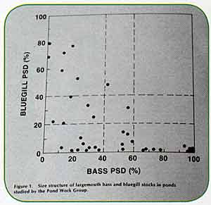 PSD of bass and bluegills from the Pond Work Group, published in New Approaches to the Management of Small Impoundments, by the North Central Division of the American Fisheries Society, 1978.