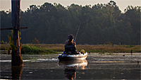 Cast to steer