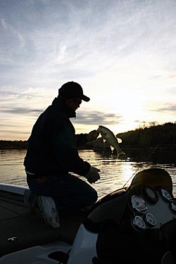 We often start catching fish immediately when throwing small baits on an open hook.