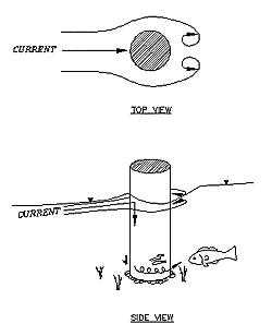 Bridge fishing