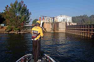 Fish habitat