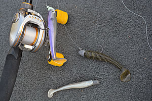 An assortment of Balog's favourite swimbaits from left to right, BassTrix, Keitech Fat Swinging Impact, and Castaic Jerky J