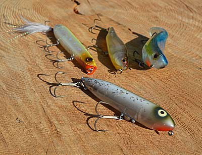 Heddon’s Zara Spook is the best-known walking topwater. But other manufacturers, including Evergreen, Megabass, and Bill Lewis, make them, too. Each brings something slightly different to the table. Photo by Pete M. Anderson