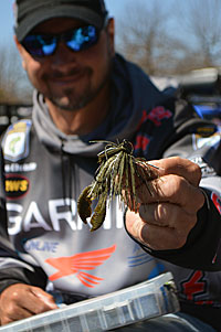 Bassmaster Elite Series angler Jason Christie sticks to three colors of swim jigs: green pumpkin, black and blue, and white. Photo by Pete M. Anderson