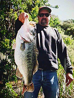 Bank anglers aren’t at a disadvantage when it comes to catching giant bass with big swimbaits. Trees and other vegetation disguise their presence from wary bass. Photo courtesy of Don Osborne