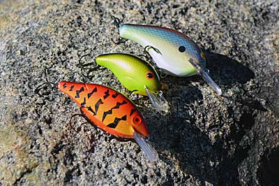 Crankbaits aren’t usually a top-of-mind choice for catching smallmouth. But small square-bill ones can be effective when bounced through laydowns in a river or across shallow rocky flats dotted with aquatic vegetation in lakes. Photo by Pete M. Anderson