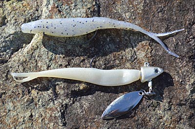 Most reservoir bass follow schools of baitfish throughout the cold-water season. Soft jerkbaits, rigged Texas style without a weight or on an underspin, will catch them from the surface to the bottom. Photo by Pete M. Anderson