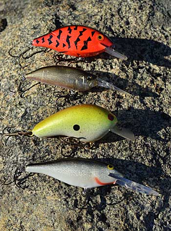 Bassmaster Elite Series angler Todd Auten considers the action of his crankbaits when he’s cranking cold water. Ones with a tight action are his first choice in clear water, and he uses ones with a wide wobble in dirty water. Photo by Pete M. Anderson