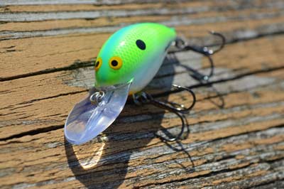 Shallow diving crankbaits fill an essential role, catching bass where square bills and medium divers can't. So, be sure to include several in your tackle box. Photo by Pete M. Anderson