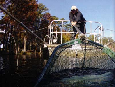 Electrofishing