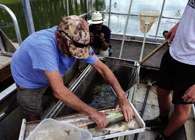 Measuring fish using the metric system is extremely accurate.