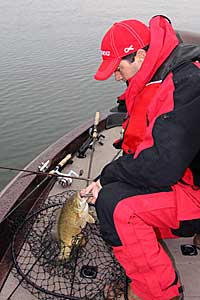 Big smallmouth