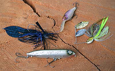 Lure size dictates retrieve speed in fall. Big lures, such as a jig and trailer or walking topwater, should be fished slowly and deliberately, giving bass time to mosey over and eat it. Small lures, including crankbaits and spinnerbaits, should be fished fast to mimic fleeing small baitfish. Photo by Pete M. Anderson