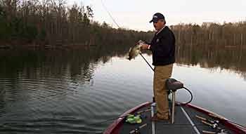 Crankbait fall