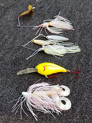 Angers need to cover water as the level falls. Lures such as buzzbaits, spinnerbaits, medium-diving crankbaits and swim jigs help them fish faster, searching for bass that are on the move. Photo by Pete M. Anderson