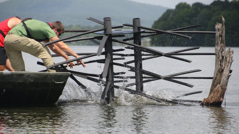 Bass Fishing