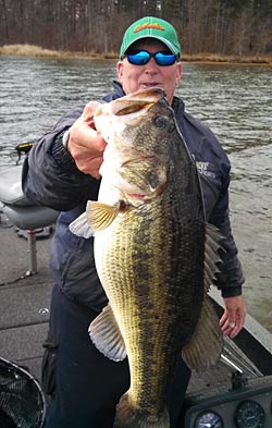 During summer and winter, Shearon Harris bass head offshore to feast on massive schools of threadfin shad. Local guide Bill Manning said anglers will need their electronics to find them. Photo courtesy of Bill Manning