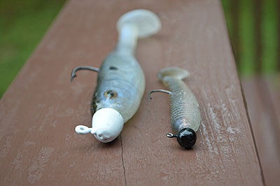 A swimbait’s length determines the style and weight of jig head that Bassmaster Elite Series angler David Mullins chooses. He uses bullet-shaped ones weighing up to 1 ¼ ounces for 5- to 8-inch swimbaits and ball-shaped ones from 1/8 to 3/8 ounce for smaller ones. Photo by Pete M. Anderson