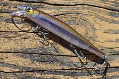 Jerkbaits keep you moving, an essential approach to staying in step with early prespawn bass. But remember the details, including your retrieve’s cadence and how they react when paused. Photo by Pete M. Anderson