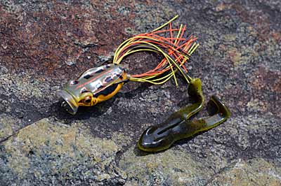 Topwater frogs and toads are weedless and easy to skip, allowing you to reach the darkest corners under docks, where the biggest bass are most likely to hide. Photo by Pete M. Anderson