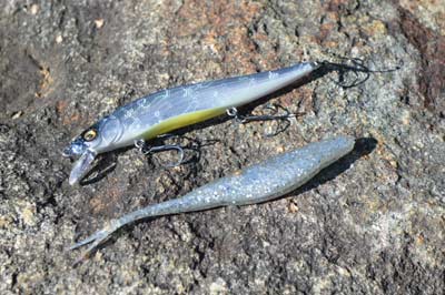 Long and slim, hard and soft jerkbaits are said to have the most natural profile. That and a slashing action make them perfect for fishing in clear water. Photo by Pete M. Anderson