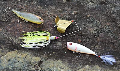 Don’t stow your topwaters when the water temperature falls into the 50s or colder. They’ll catch bass that spend December chasing baitfish around the back of creeks or pockets in reservoirs. Photo by Pete M. Anderson