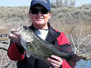 Fishing in the wind