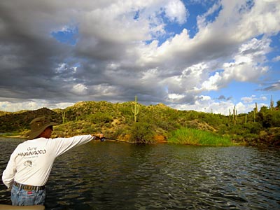 Big fluffy storm clouds like these often signal a low pressure moving in -- time to get out the reaction baits.