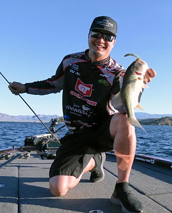 Tai sticks to baits like Senkos when the barometer is high and the skies are clear.