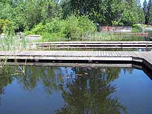 dock fishing