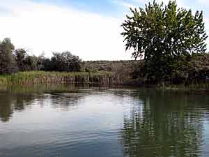 Sunfish pond