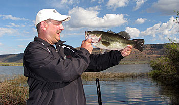 Largemouth Bass