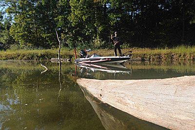 Pitching to shallow cover is an effective tactic for  Indian summer bass.