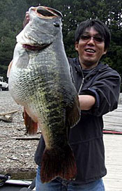 Big Bass