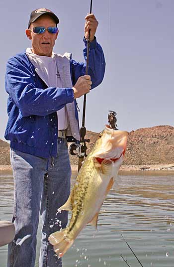 Jigs and scent seem to go together. We always use a craw scent on a jig.