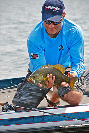 Joe Balog with a pretty smallmouth. The vast majority of bass fishermen practice catches and release. There are times though when you might want to put a bass in the live well to take images when the light is better or you have a better background.