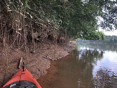 Low water reveals cover and structure. These undercut banks are perfect hiding spots for bass at higher water levels, so note their location when you find them when the water is low. Photo by Richard Perrott