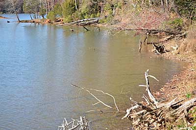 Take note of submerged cover near shore, where bass will stage and hold, when the water is low. When it returns to normal height, you most likely won’t notice it. Photo by Pete M. Anderson