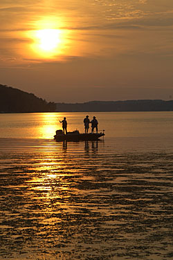 Waiting until the magic hour and using a fill flash can produce dramatic fish images.