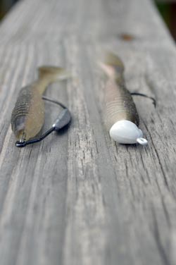 Bassmaster Elite Series angler Shaw Grigsby throws an assortment of soft-plastic lures at spring bass in marinas. When they are still in prespawn, he retrieves a swimbait alongside docks and moored boats. He lets the amount of cover determine whether its rigged on an open hook or Texas style. Photo by Pete M. Anderson