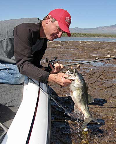 Scent can make it easier for you to detect a bite because the fish seem to hold on longer to a scented or flavored lure.