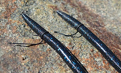 A hook’s shape can determine how many bass it catches. Bassmaster Elite Series angler Cliff Pirch said long-shanked hooks, left, grab more bass because of the gap created by the distance between the line tie and point. Traditional wacky rig hooks, right, have shorter shanks, which help them slip through cover without snagging. Photo by Pete M. Anderson