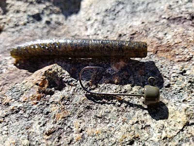 Ned rigs aren’t just for fishing on the bottom, says longtime seminar speaker and bass tournament angler Mike DelVisco. In clear water, bass will follow and hit one as it sinks. Using a light-weight jig head slows its descent, giving bass more time to strike. Photo by Pete M. Anderson