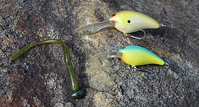 Post-spawn bass move to the nearest deep-water cover after recuperating and guarding fry in the shallows. Bassmaster Opens EQ angler Shane Lineberger catches them with a heavy shaky head and crankbaits. Photo by Pete M. Anderson