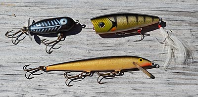 Male bass spend about two weeks aggressively guarding newly hatched fry in shallow water. That makes them easy to catch, especially with small topwaters such as poppers, prop baits and balsa minnows. Photo by Pete M. Anderson